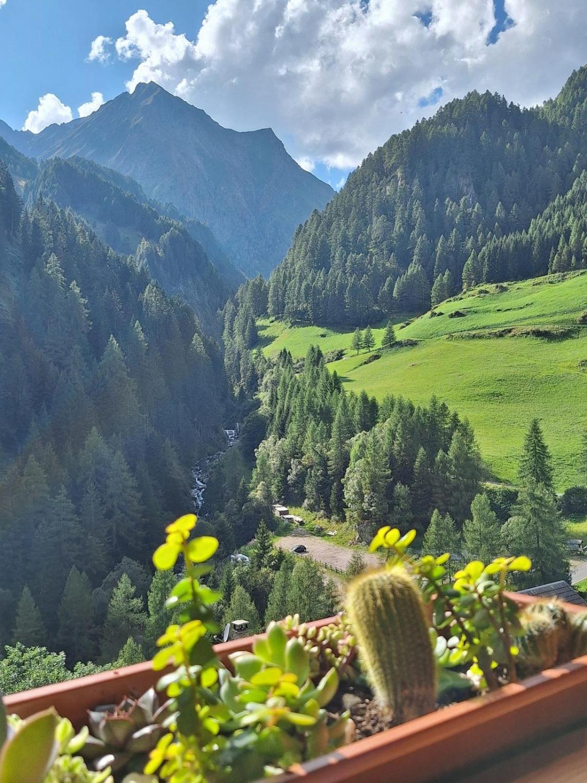 Duner Heuschupfe Fundres Esterno foto